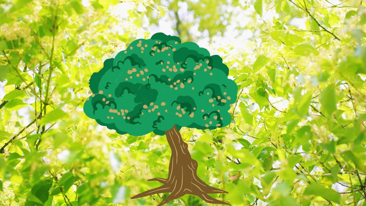 El árbol que debes tener en casa si quieres un jardín repleto de color y vida